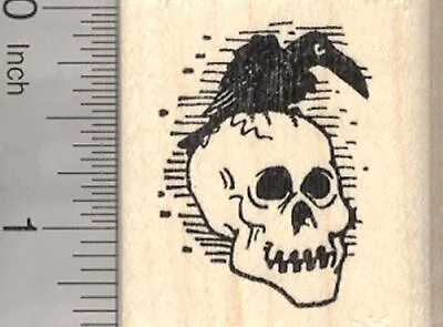 Halloween Raven On Skull Rubber Stamp Crow Day Of The Dead D25402 WM • $14