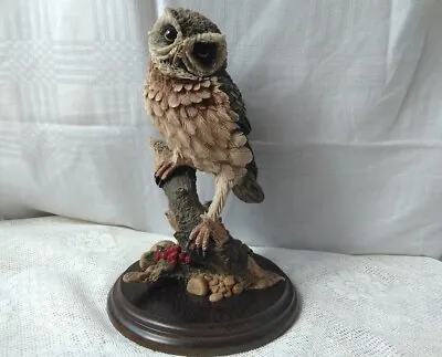 Country Artists Hand Crafted And Painted Little Owl CA398 ( With Box ) • £28