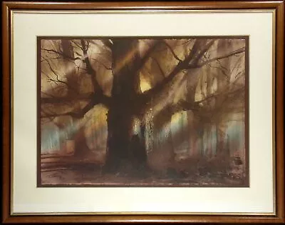 Kaiko Moti  Forest  Framed Hand Signed Aquatint Etching Landscape Make Offer • $2750