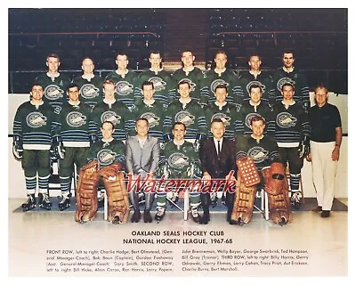 NHL 1967 - 68 Inaugural Oakland Seals Team Pic Color With Names 8 X 10 Photo  • $5.59