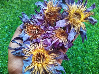 $0.01 • Buy 100g (3.5oz) - Natural Dried Blue Lotus Nymphaea Caerulea Flowers Herbal Tea