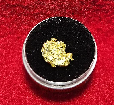 California Natural Gold Nugget 2.2 Grams In A Gem Jar W/lid • $178