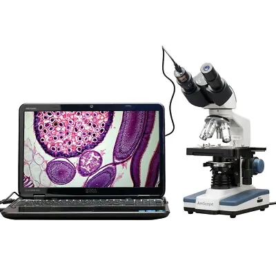 AmScope 40-2500X LED Digital Binocular Compound Microscope +3MP Camera+3D Stage • $557.07