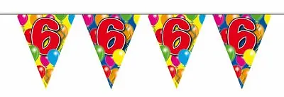 6th Birthday Bunting Balloon 15 Flag Banner Party Bunting 10m • £4.49