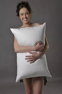 Firm Pillow 95% White Altai Snow Goose Down ® German Batiste 900 Fill Power • $462.55