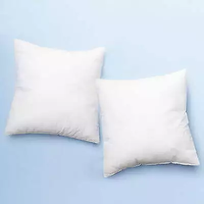 Throw Pillow Inserts Square Pillow Cushion Decorative Pillow Insert • $26.60