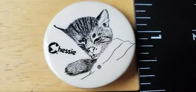 Chessie Railroad System Pin Sleeping Cat Kitty Kitten Logo ChesC • $34.18