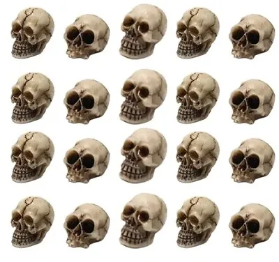4 Pcs Skull Heads Scary Prank Props Terrifying Skull Mini Resin Skeleton Heads • £6.45