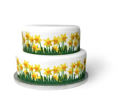 A4 Edible Decor Icing Sheet Spring DAFFODIL Ribbon Border Edging - Easter • £3.49