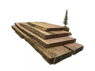 Black Walnut Live Edge Slab Kiln Dried And Planed | Various Sizes | Ships Free! • $19.99