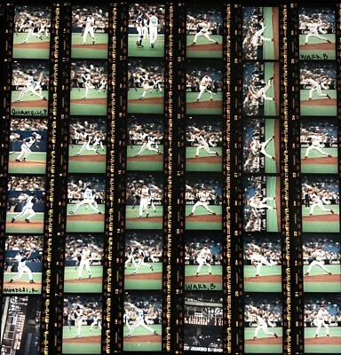£11.88 • Buy PF4-468 Colorado Rockies Phillies BlueJays '00 LOT 100pc Original Color Negative