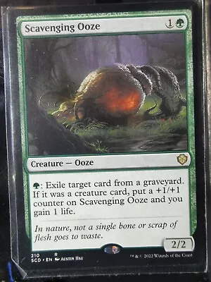 MTG Scavenging Ooze 210 Rare SealedinSleeve • $1.93