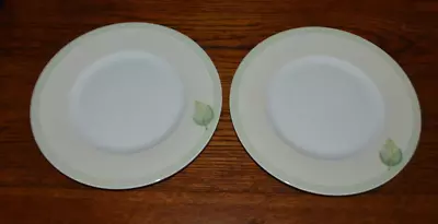 Lot Of 2 VILLEROY & BOCH Florea Folia Salad Plates House & Garden Collection • $9.95