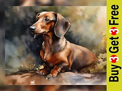 Adorable Dachshund Watercolor Art Print - Home Decor  5  X 7  • $5.58