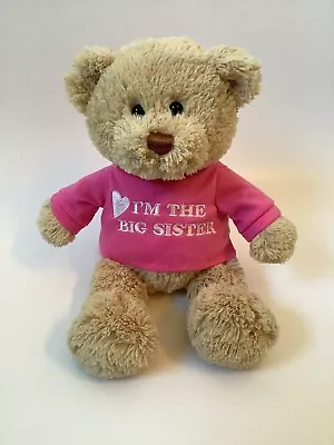 Gund I'm The Big Sister Bear Plush Pink 12” T-Shirt Teddy Stuffed Animal Lovey • $24.99