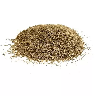 LAWN GRASS SEED 2KG SHADY AREA SEED MIX ( 40 SQ/M ) From Maltbys Stores 1904 Ltd • £16.99