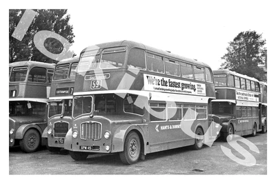 £1.25 • Buy Bus Photograph HANTS & DORSET NBC XPM 45 [3494] Soton '74