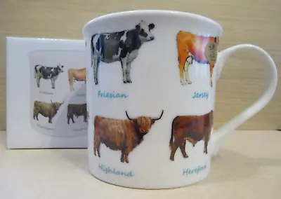 Cow Breeds Mug / Fine China Coffee Tea Mug • £4.85