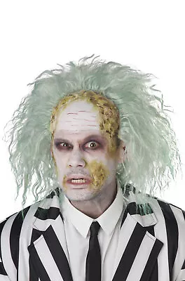 Brand New Obnoxious Ghost Bald Cap Beetlejuice Inspired Adult Wig • $11.88