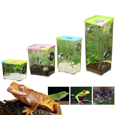 Reptile Breeding Box Clear Acrylic Reptile Terrarium Feeding Box For Spider • $13.39
