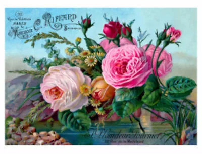 Vintage French Typography Roses Flowers Furniture Size Waterslide Decal FL560 • $12.99