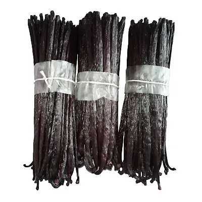 Fleshy Vanilla Beans Grade A Bundle 6 + Sri Lanka BEST Vanilla Beans Fresh Crop • $15