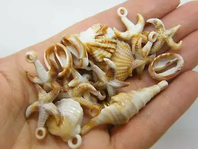 30 Sea Shell And Starfish Charms  Random Mixed Acrylic FF333 • £2.30