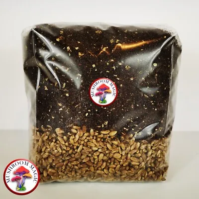 Mushroom Magic - 1Kg Mushroom Grow Bags With Rye And CVG • £13.99