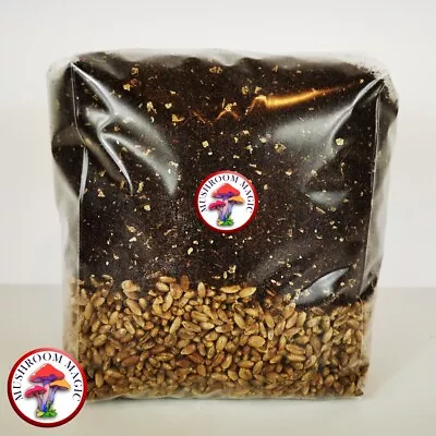 Mushroom Magic - 9Kg Kit - 6 X 1.5Kg Mushroom Grow Bags With Rye And CVG • £71.99