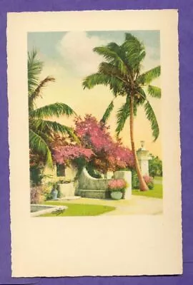 E G Barnhill Old Florida FL Landscape Vtg Color Art Print NOS Palm Weigela Pink • $0.99
