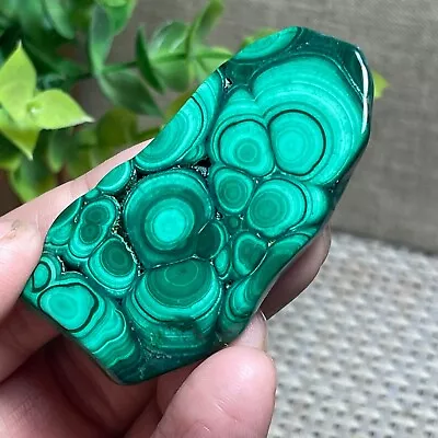 Malachite Slab / Slice  Polished Gemstone Mineral Specimen Congo 21g A10 • $20.30