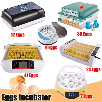 Digital Egg Incubator Automatic Chicken Quail Bird Hatcher Temperature Control • $31.34