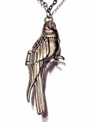 PARROT LOCKET NECKLACE Bronze Pendant Macaw Tropical Bird Charm W5 • $12.99