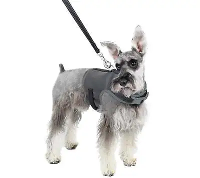 Martha Stewart Reflective Dog Harness W/ Matching Lead Grey	X-Small • $11.99