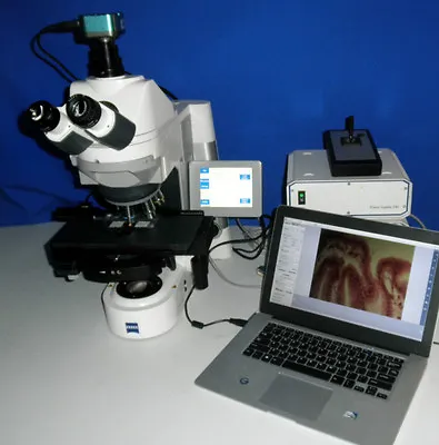 Zeiss Axio Imager M1 Trinoc Marzhauser Stage EK14 Microscope Auto Pathology • $9750