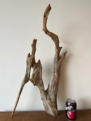 £4.20 • Buy Driftwood Piece Angular Pointed Bogwood  For  Vivarium, Wall Art Or Display
