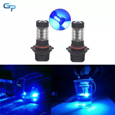 2 Pcs 9005 9006 H10 9145 8000K Ice Blue 100W LED Fog Light Headlight Bulbs Kit • $4.80