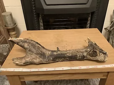 £2.99 • Buy Driftwood , Aquarium, Vivarium, Art, Craft,shop Window/Floral Display,