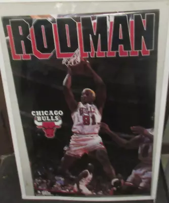 Dennis Rodman Poster 1996  Original Rare Collectible Nba Chicago Bulls • $15.99