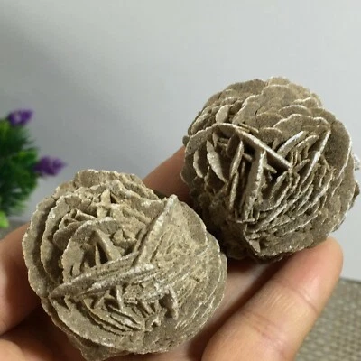 $17.50 • Buy DESERT ROSE SELENITE Specimen Crystal Stone Mineral Cluster SMM