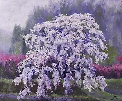 Cherry Blossom Painting Original Artwork Canvas Wall Art Tree Oil Painting 20x24 • $295