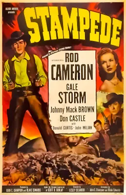 £3.75 • Buy Stampede 1949 Dvd. Rod Cameron. Copy Of Public Domain Film. Disc Only