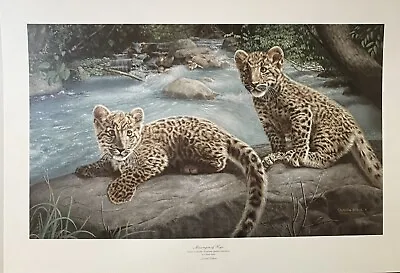 Charles Frace Signed & Numbered  Messengers Of Hope  Amur Leopard Cubs COA NOS • $99