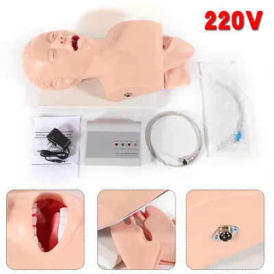 $239 • Buy Airway Management Trainer PVC Model Simulator Intubation Manikin Study Trainer