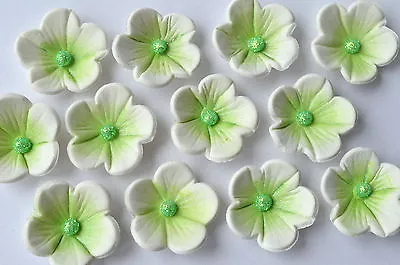 24 Edible Green And White Blossom Birthday Cake Flowers. Edible Green Flowers • £8.95