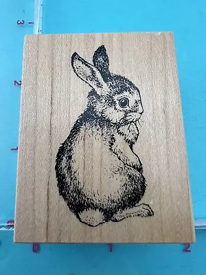 BABY BUNNY Rabbit Wood RUBBER STAMP Garden Animal Wildlife Nature PSX D-1739  • $5.99