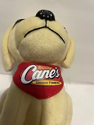 Raising Cane’s Chicken Fingers Dog Tan Lab Sunglasses Red Scarf • $8.81