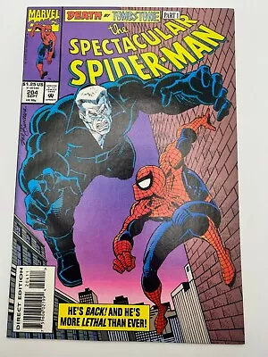 The Spectacular Spider-Man #204 • £3.21