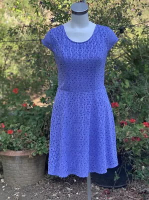 NWT Xhilaration Lavandar Purple Skater Dress Back Zipper Lace Sheer Mesh Sz Lg • $17.99