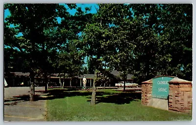 Indian River Michigan - Catholic Shrine  Lily Of The Mohawk  - Vintage Postcard • $5.09
